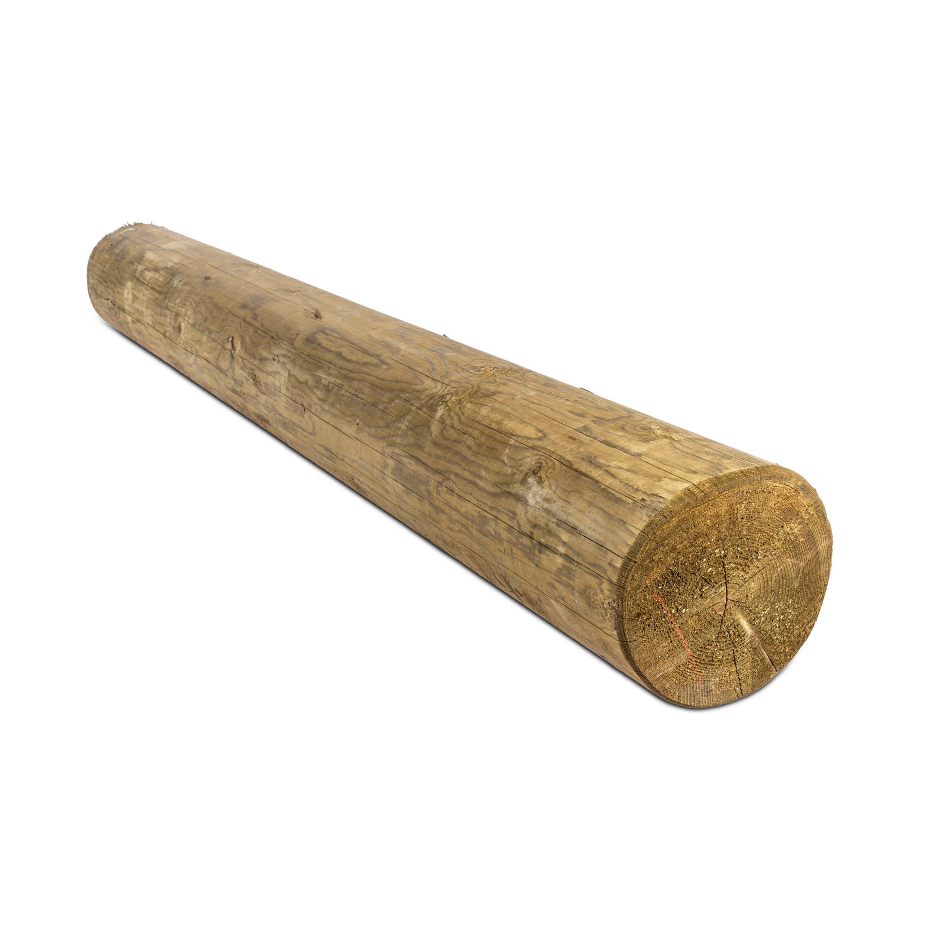 Palo Rohr Rund Grün Ø48 Mm, Höhe 130 Cm – Inkl. 3 Halsbänder-Kit Für Zaunnetze